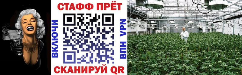 Названия наркотиков Камышин Каннабис  Меф 