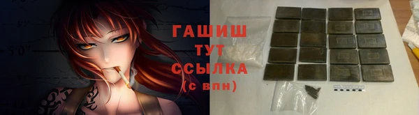 гидра Алексеевка