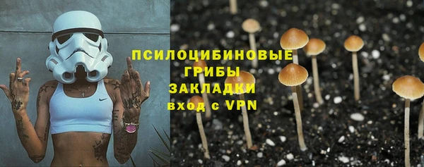 гидра Алексеевка