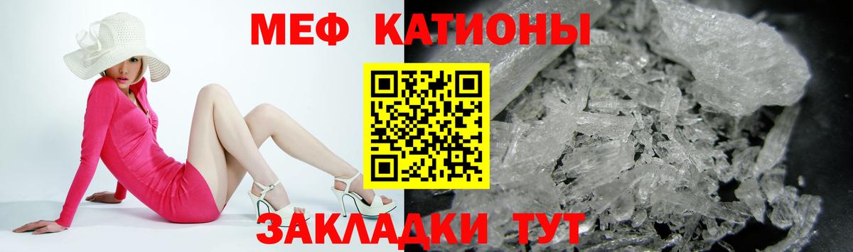 Камышин  МЯУ-МЯУ мяу мяу  МЯУ-МЯУ  Вход с VPN 