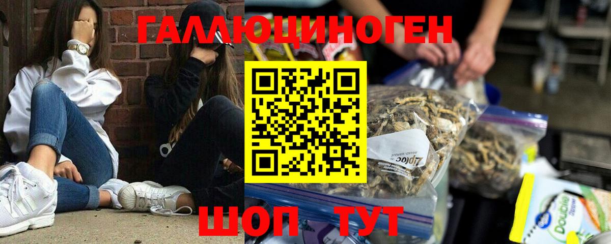 Галлюциногенные грибы Cubensis Камышин