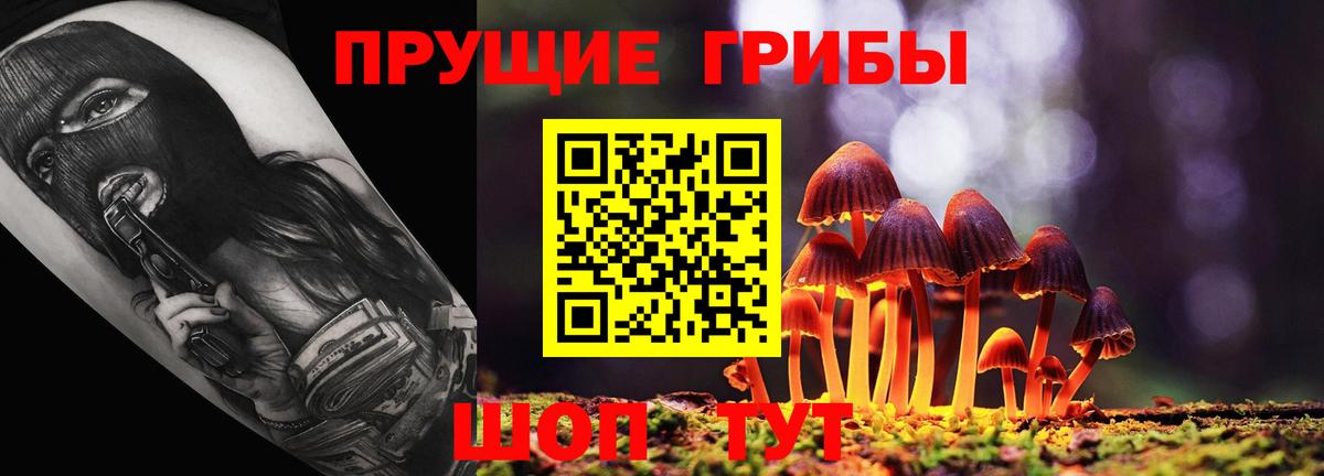 Камышин  хочу   Галлюциногенные грибы MAGIC MUSHROOMS  Вход с VPN  Галлюциногенные грибы Psilocybine cubensis 